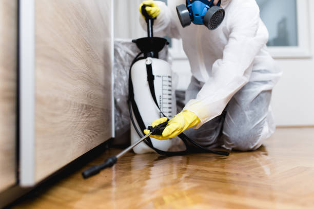 Best Local Pest Control Services  in Riverside, IA