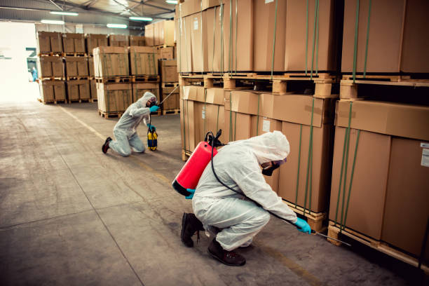 Best Pest Inspection Near Me  in Riverside, IA