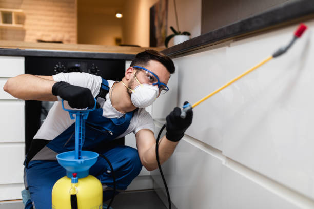 Best Best Pest Control Companies  in Riverside, IA