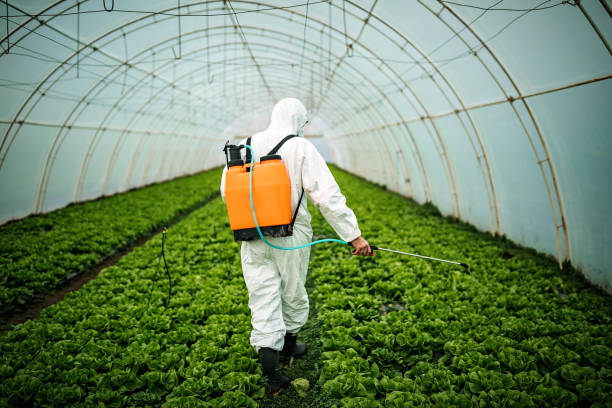 Best Pest Inspection Near Me  in Riverside, IA