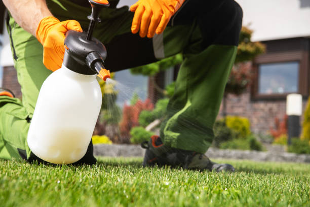 Best Best Pest Control Companies  in Riverside, IA