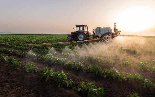 Best Affordable Exterminators  in Riverside, IA