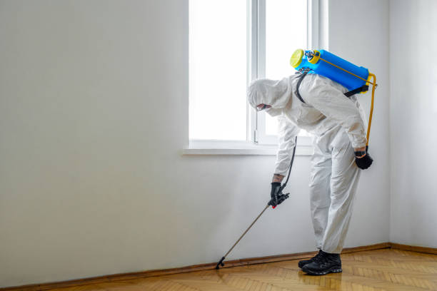 Best Termite Control Services  in Riverside, IA