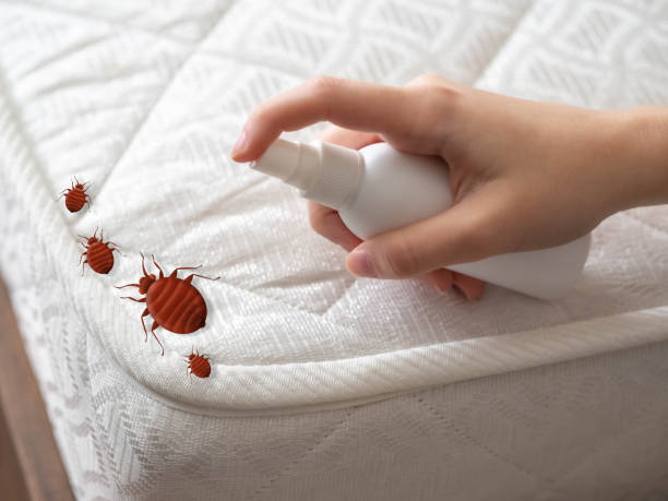Best Pest Control Near Me  in Riverside, IA