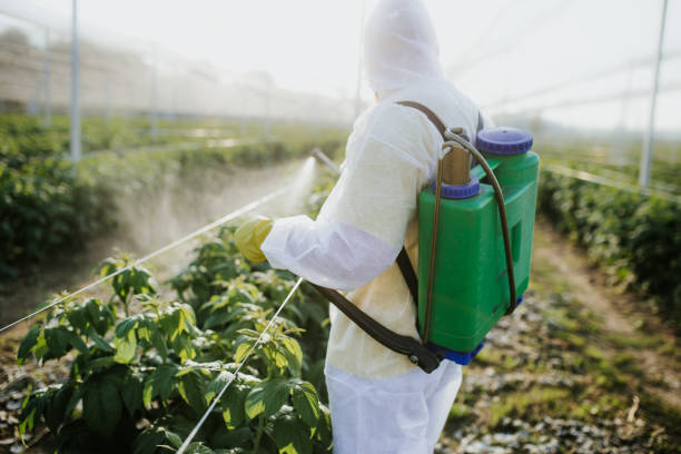 Reliable Riverside, IA Pest Control Solutions